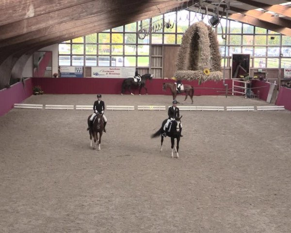 Reitturnier Krumke 2022