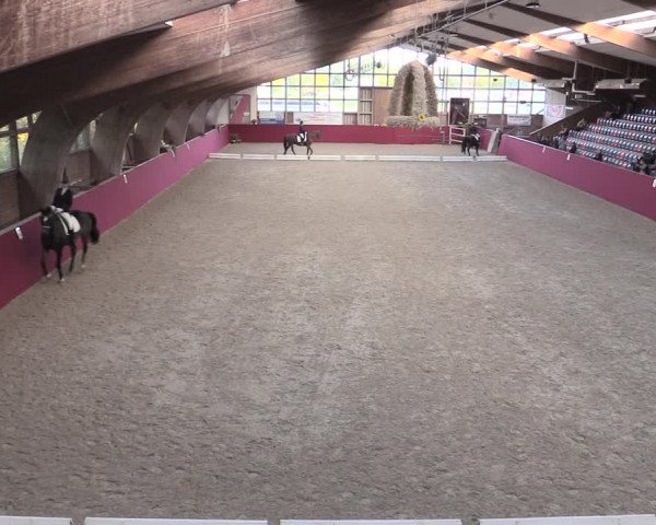 Reitturnier Krumke 2022