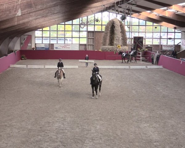 Reitturnier Krumke 2022