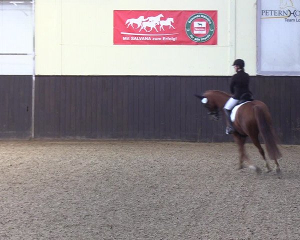 Reitturnier St. Peter-Ording 2022