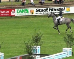 jumper Jet Stream K (KWPN (Royal Dutch Sporthorse), 2005, from Cantos)