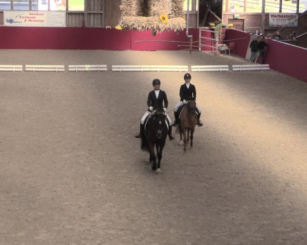 Reitturnier Krumke 2022