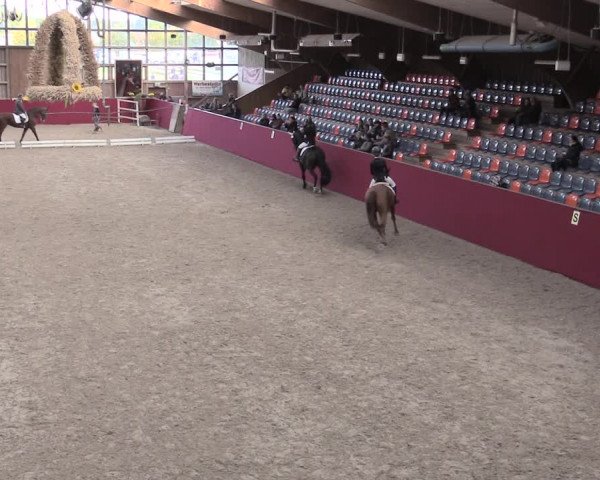 Reitturnier Krumke 2022