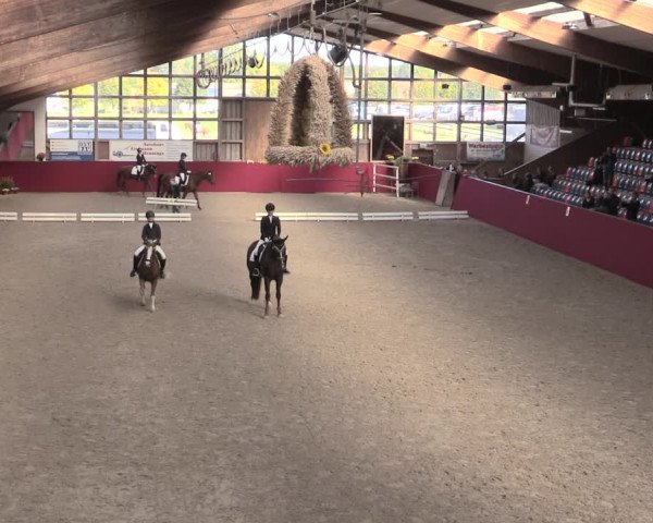 Reitturnier Krumke 2022