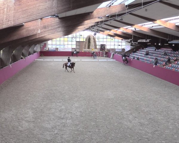 Reitturnier Krumke 2022