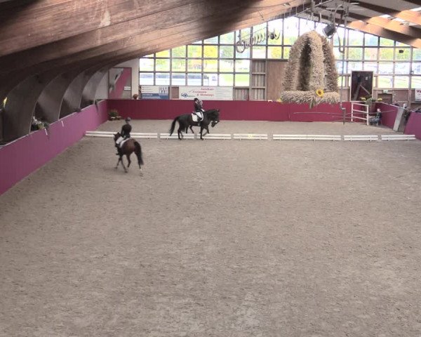 Reitturnier Krumke 2022