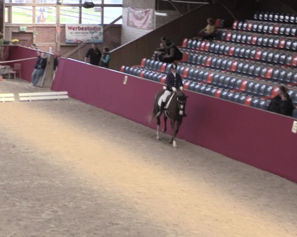 Reitturnier Krumke 2022