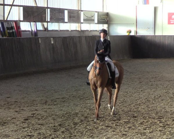 Reitturnier St. Peter-Ording 2022