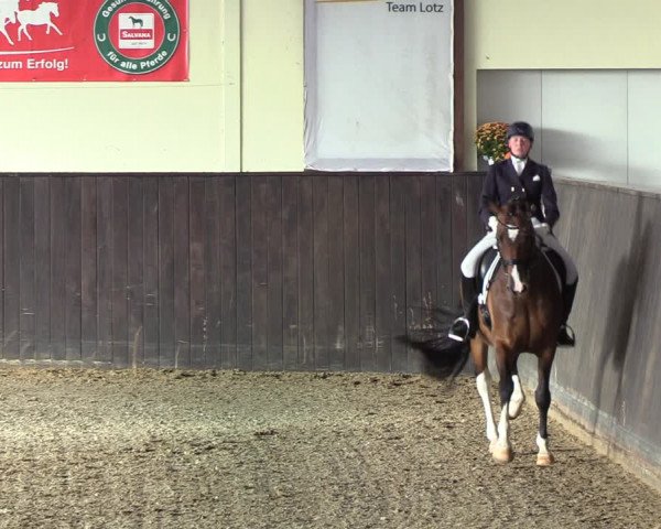 Reitturnier St. Peter-Ording 2022