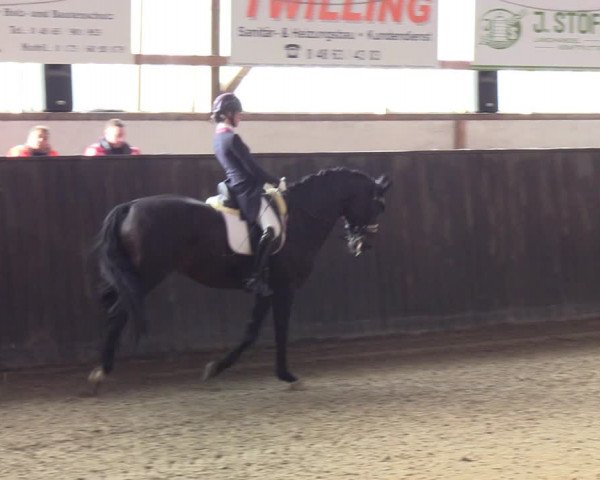 Reitturnier St. Peter-Ording 2022