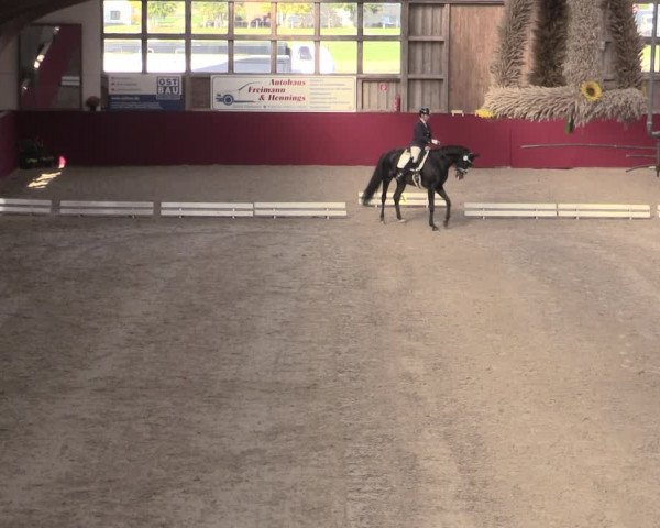 Reitturnier Krumke 2022