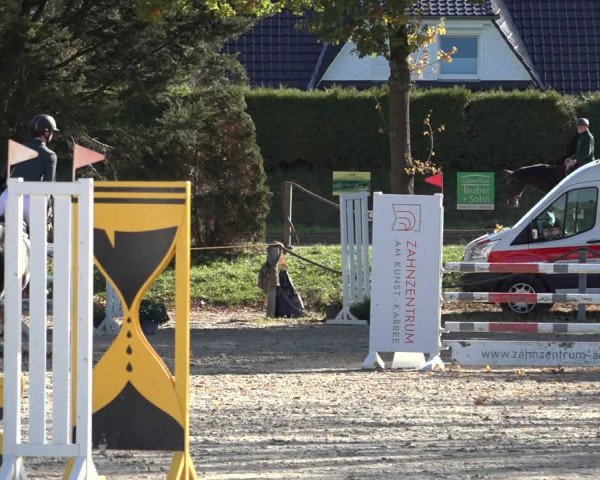 4. Handorfer Springturnier 2022