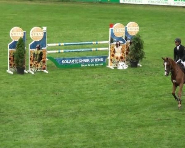 jumper Cleine Lea (Westphalian, 2006, from Colman)