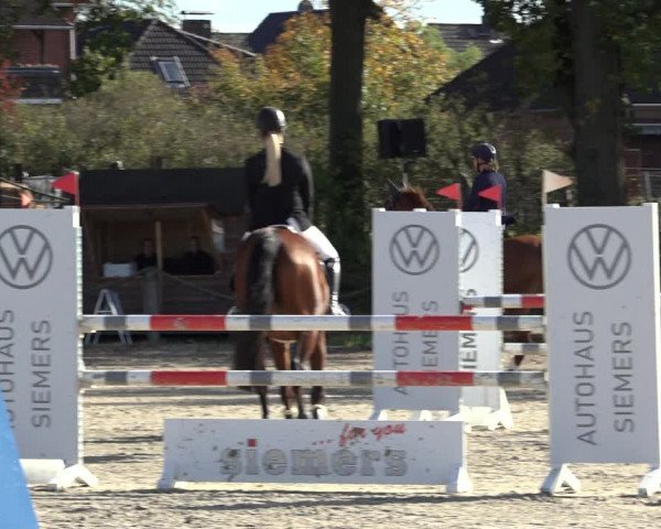 4. Handorfer Springturnier 2022