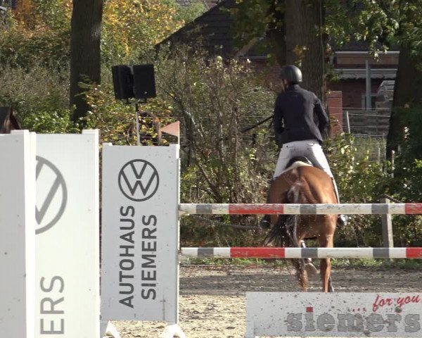 4. Handorfer Springturnier 2022
