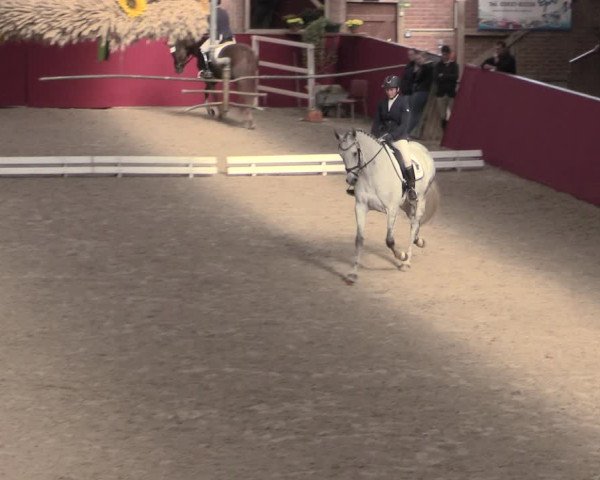 Reitturnier Krumke 2022