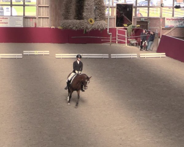 Reitturnier Krumke 2022