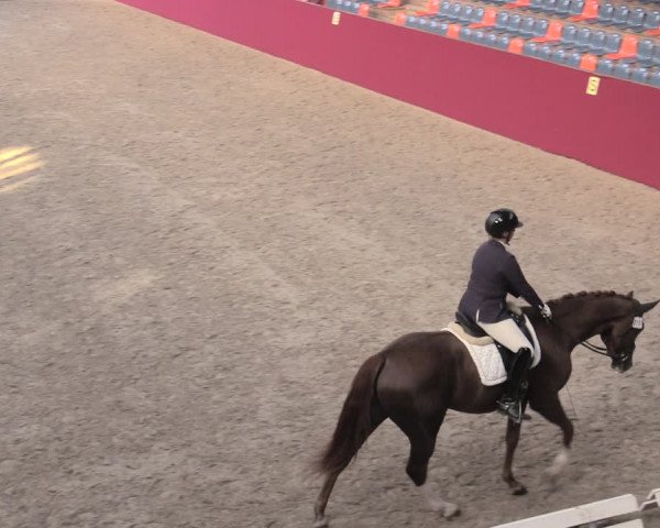 Reitturnier Krumke 2022