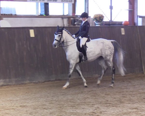Reitturnier St. Peter-Ording 2022