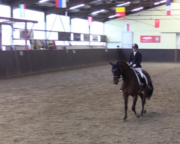 Reitturnier St. Peter-Ording 2022