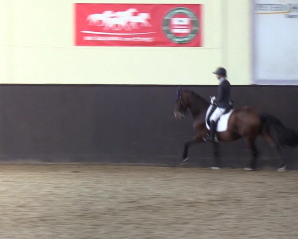 Reitturnier St. Peter-Ording 2022