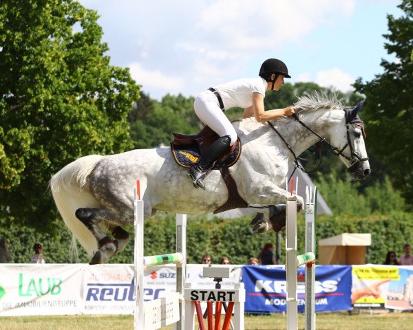 jumper Elysee K (Holsteiner, 2012, from Quality Time)