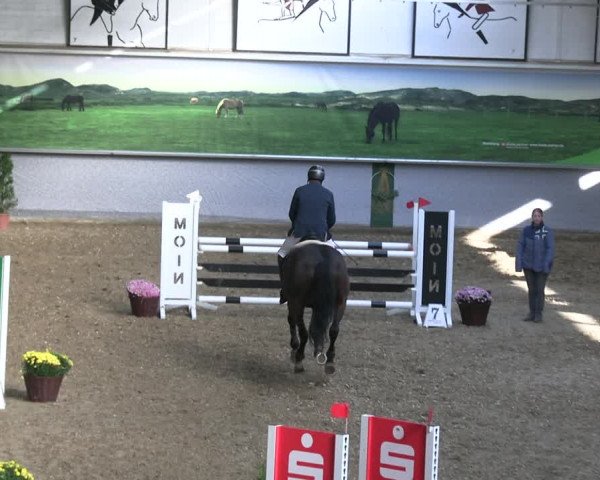 Reitturnier Legden 2022
