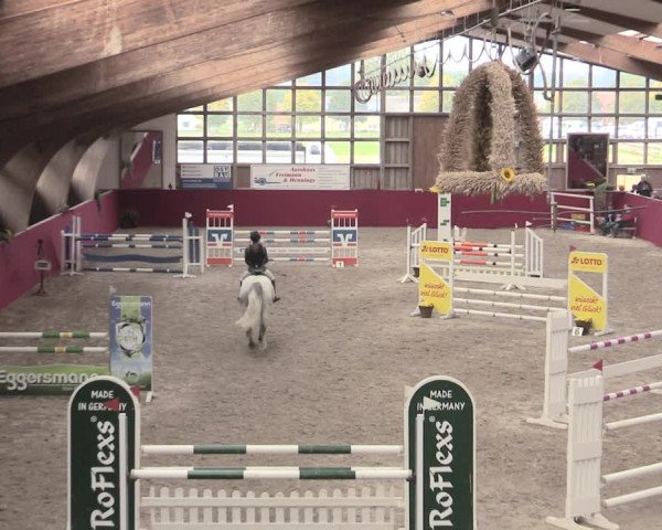 Reitturnier Krumke 2022