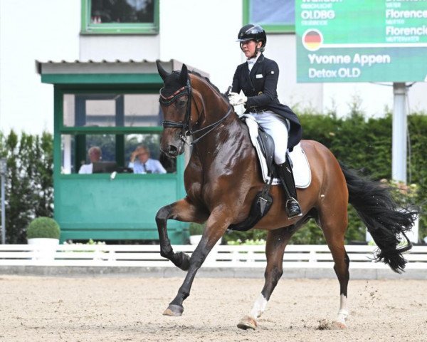 dressage horse Detox OLD (Oldenburg, 2015, from Diamond Hit) dressage horse Detox OLD (Oldenburg, 2015, from Diamond Hit)