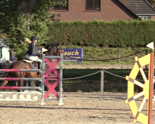 4. Handorfer Springturnier 2022