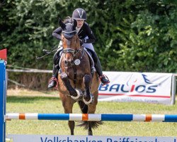 jumper Cornell THC (anglo european sporthorse, 2017, from Cornetto du Domaine)