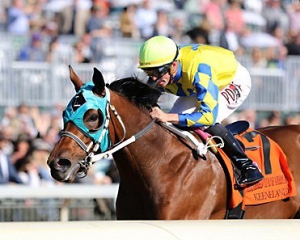 broodmare Slammed xx (Thoroughbred, 2018, from Marking xx)