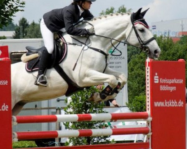 jumper Grey Jacob (Württemberger, 1994, from Goldpilz)