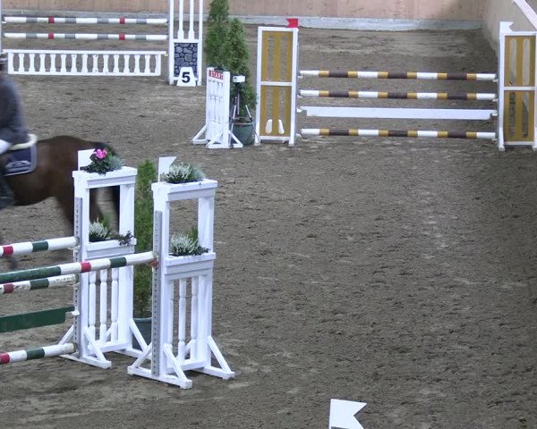 Reitturnier Hövelhof 2022
