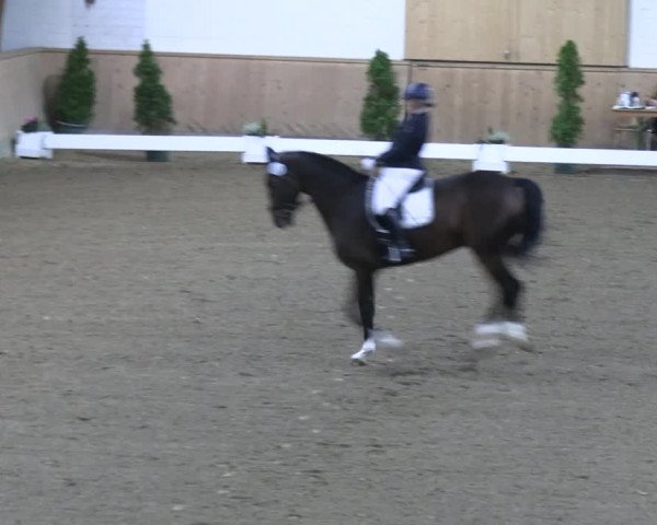 Reitturnier Hövelhof 2022