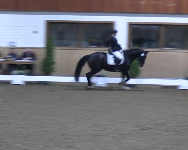 Reitturnier Hövelhof 2022