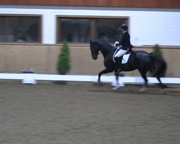 Reitturnier Hövelhof 2022