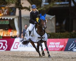 jumper Bubble Luna (German Riding Pony, 2016, from Dressman III)
