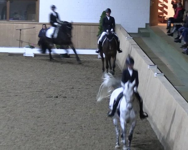 Reitturnier Hövelhof 2022