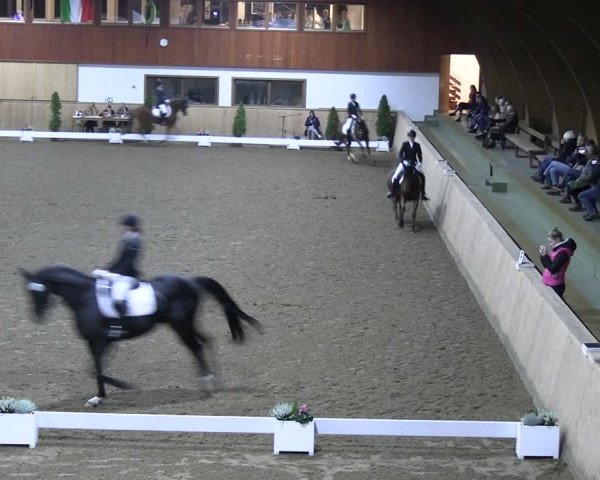 Reitturnier Hövelhof 2022