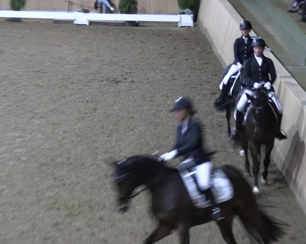 Reitturnier Hövelhof 2022