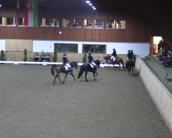 Reitturnier Hövelhof 2022