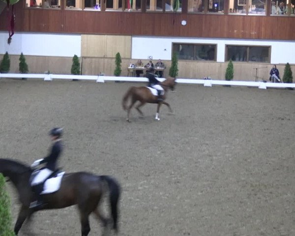 Reitturnier Hövelhof 2022