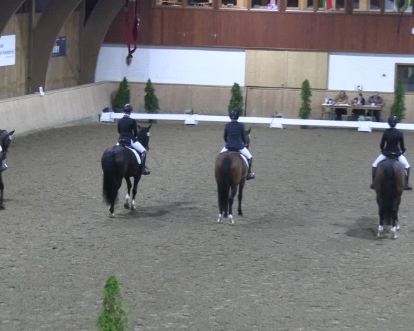 Reitturnier Hövelhof 2022