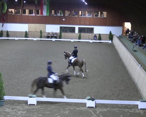 Reitturnier Hövelhof 2022