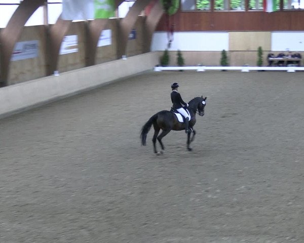 Reitturnier Hövelhof 2022