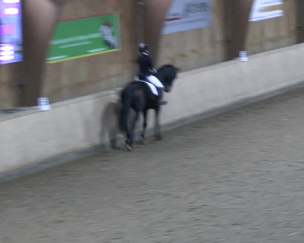 Reitturnier Hövelhof 2022