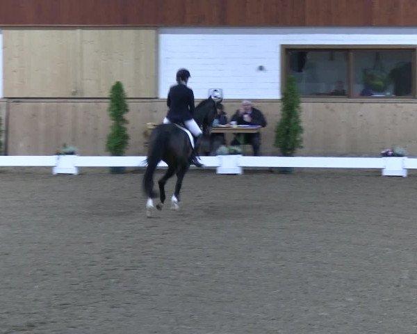 Reitturnier Hövelhof 2022