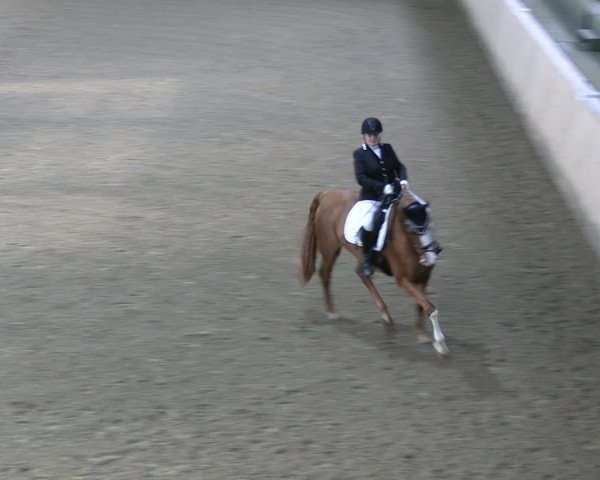 Reitturnier Hövelhof 2022