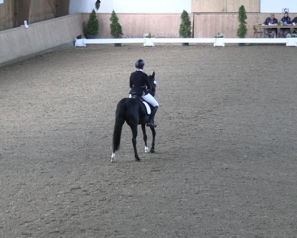 Reitturnier Hövelhof 2022